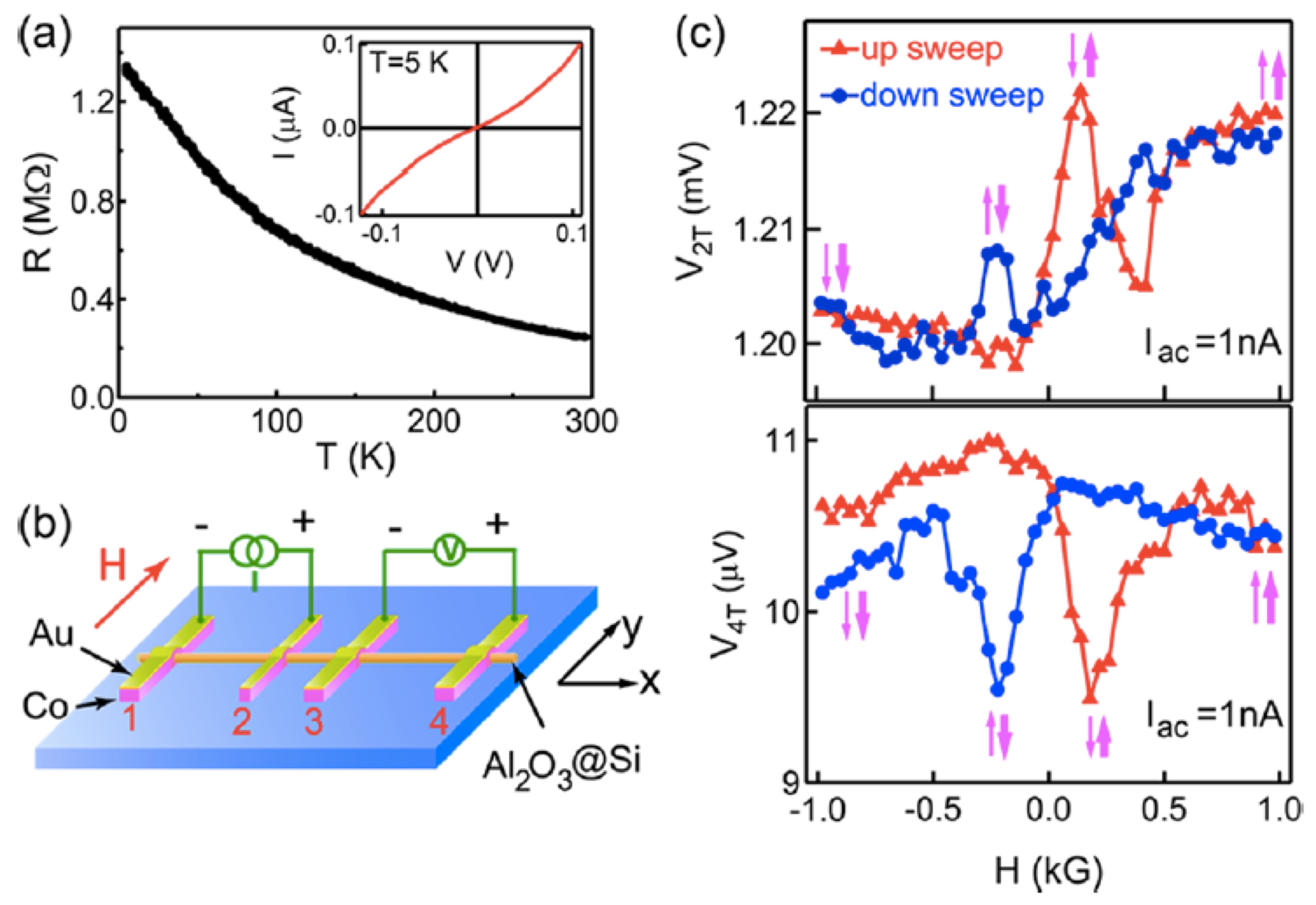 Si nanowire spin valve