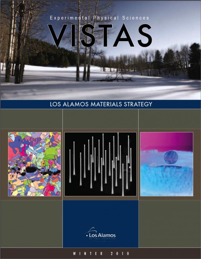 Cover Image for Los Alamos Vista Newsletter, Winter 2010
