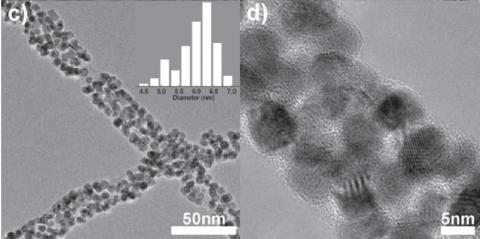 carbon naontube Si nanowire lithiation