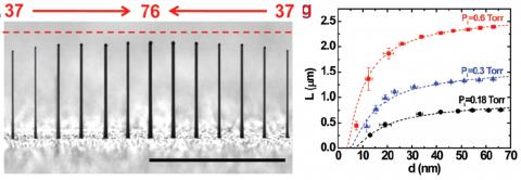 gibbs thompson effect in nanowires