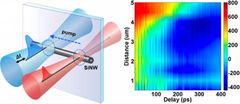 mapping carrier diffusion in nanowires
