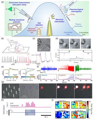 Considerations and Recent Advances in Nanoscale Interfaces with Neurons